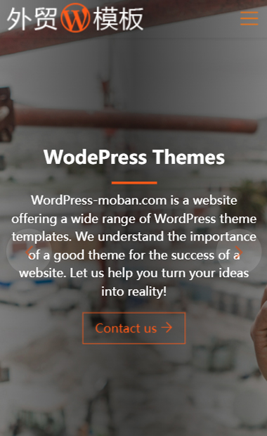 wordpress跨境电商网站案例