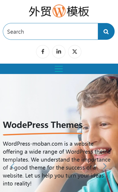 B2B外贸网站wordpress案例